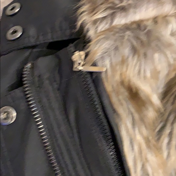 Winter Jacket - Picture 3 of 5